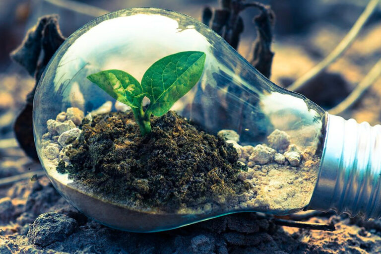 Fanton: un impegno duraturo per l’ambiente e l’innovazione responsabile